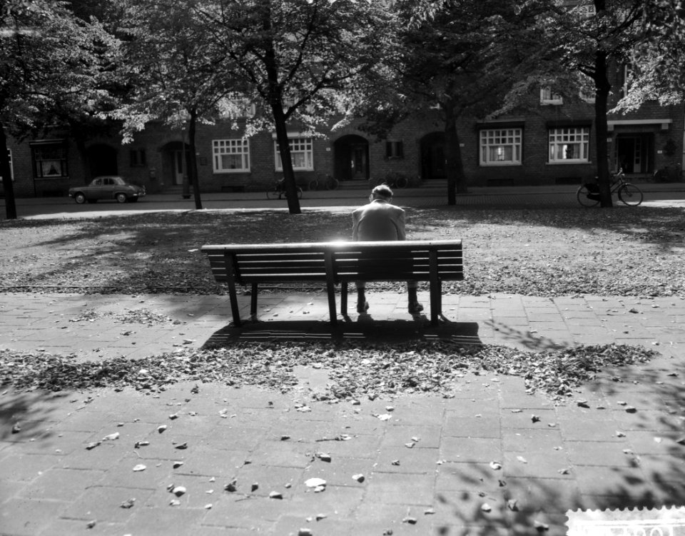 Nederland herfstweer, Bestanddeelnr 910-6713