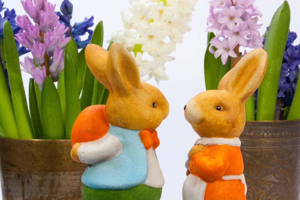 Bunny couple osterhasen few figure photo