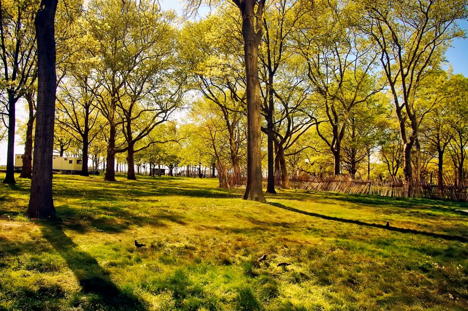Spring summer nature