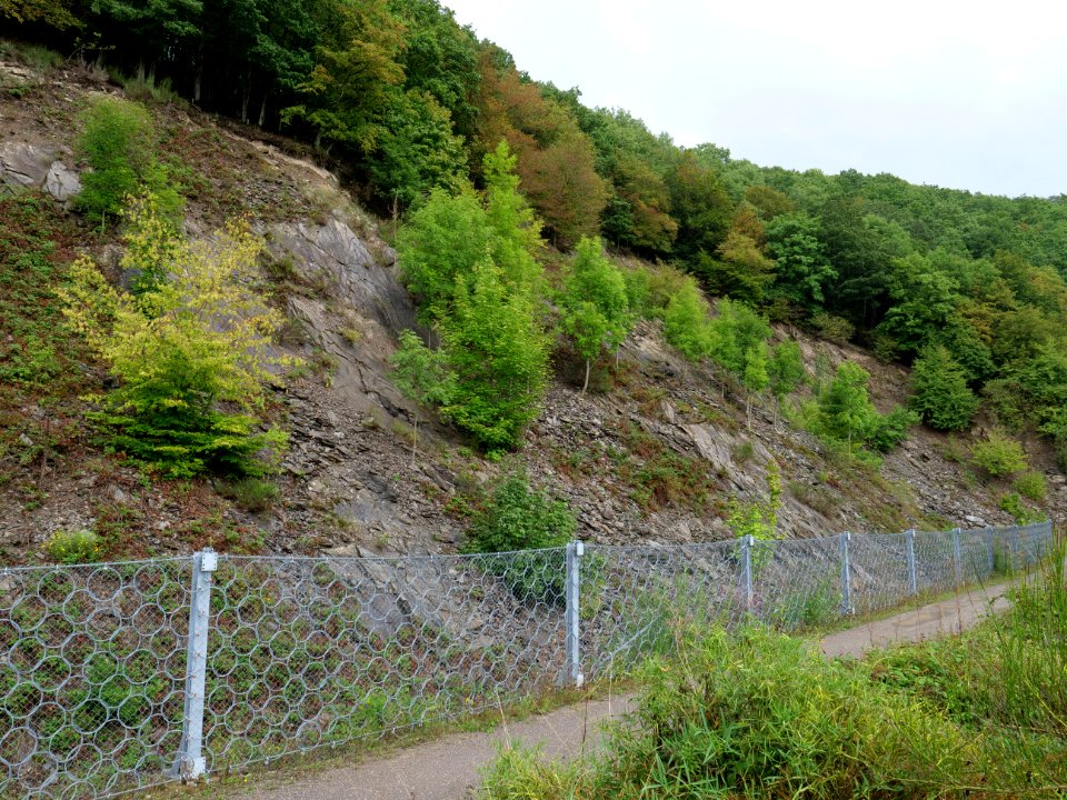 Near north bank of the Urftsee 29