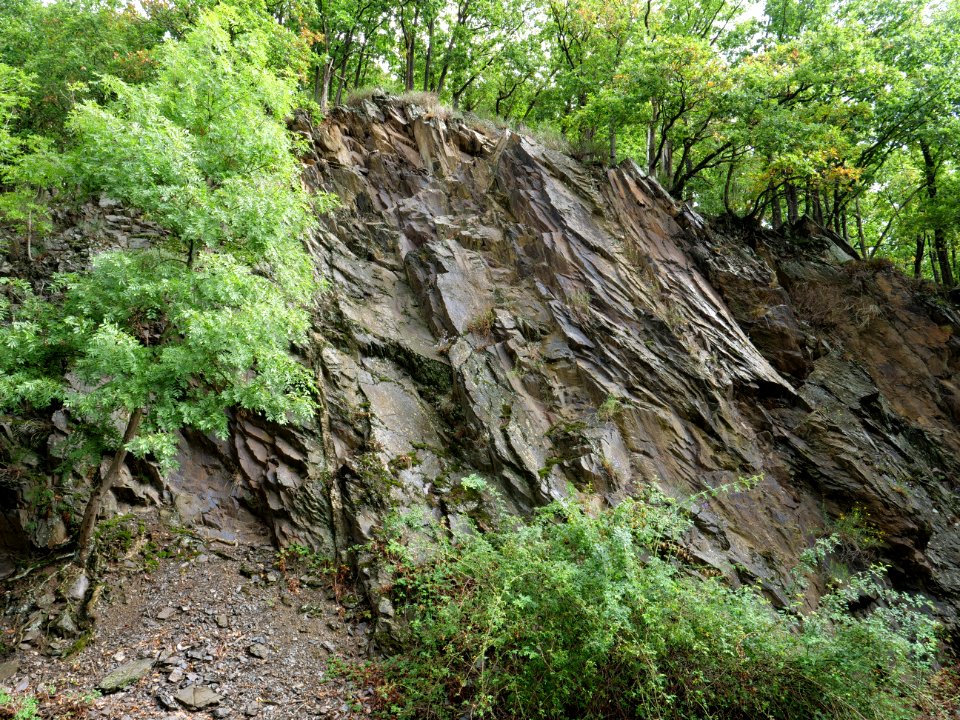 Near north bank of the Urftsee 24