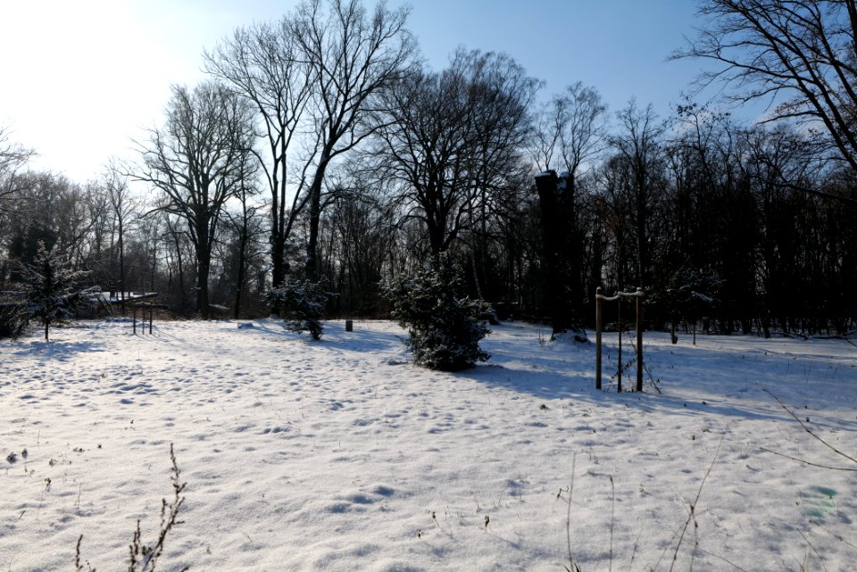 Near Glühwürmchengrund und Immenweide with snow 2021-02-10 04