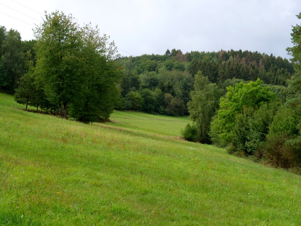 Near Friedensheck Rurberg 03