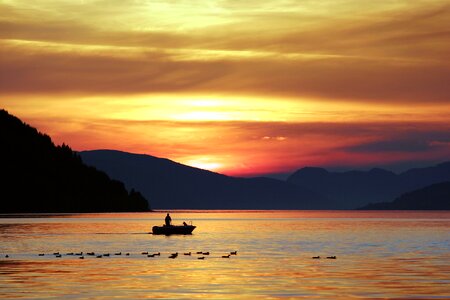 Nature outdoors silhouette photo