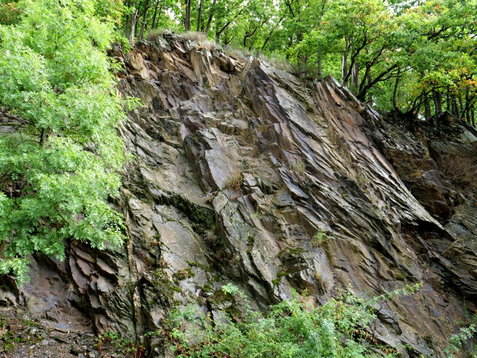 Near north bank of the Urftsee 25