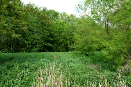 Near Ebereschenhof Nauen 2020-05-15 01