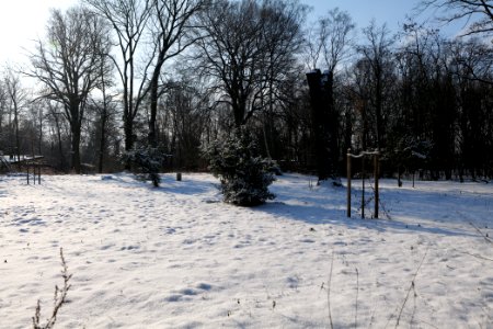 Near Glühwürmchengrund und Immenweide with snow 2021-02-10 05