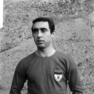 NEC speler M. Bulatovic, Bestanddeelnr 919-7588