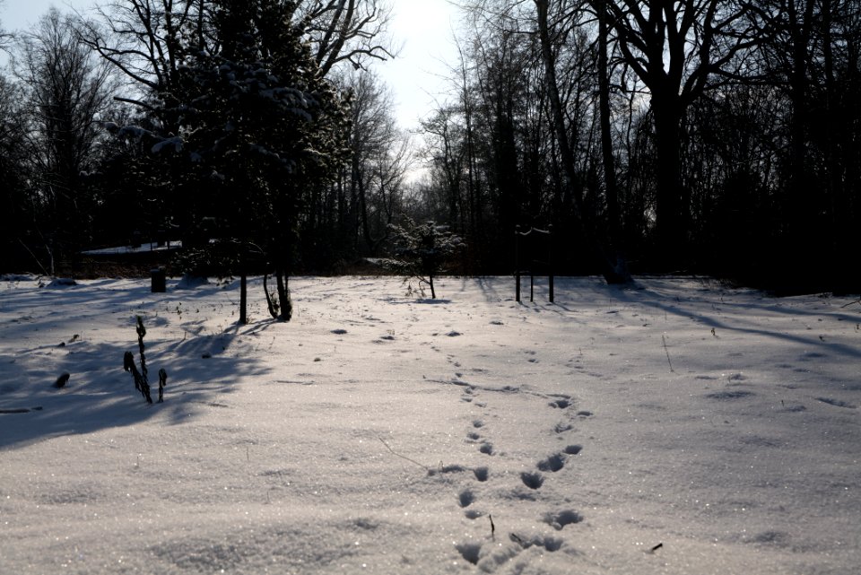 Near Glühwürmchengrund und Immenweide with snow 2021-02-10 03