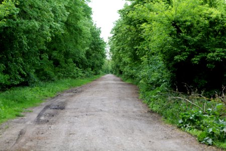 Near Ebereschenhof Nauen 2020-05-15 04