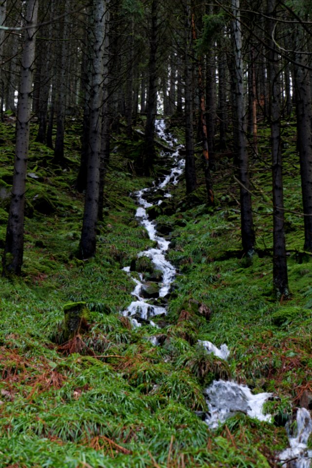 Near Kammerloch 2020-03-11 06
