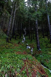Near Kammerloch 2020-03-11 05