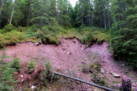 Near Kammerloch 2020-03-11 11