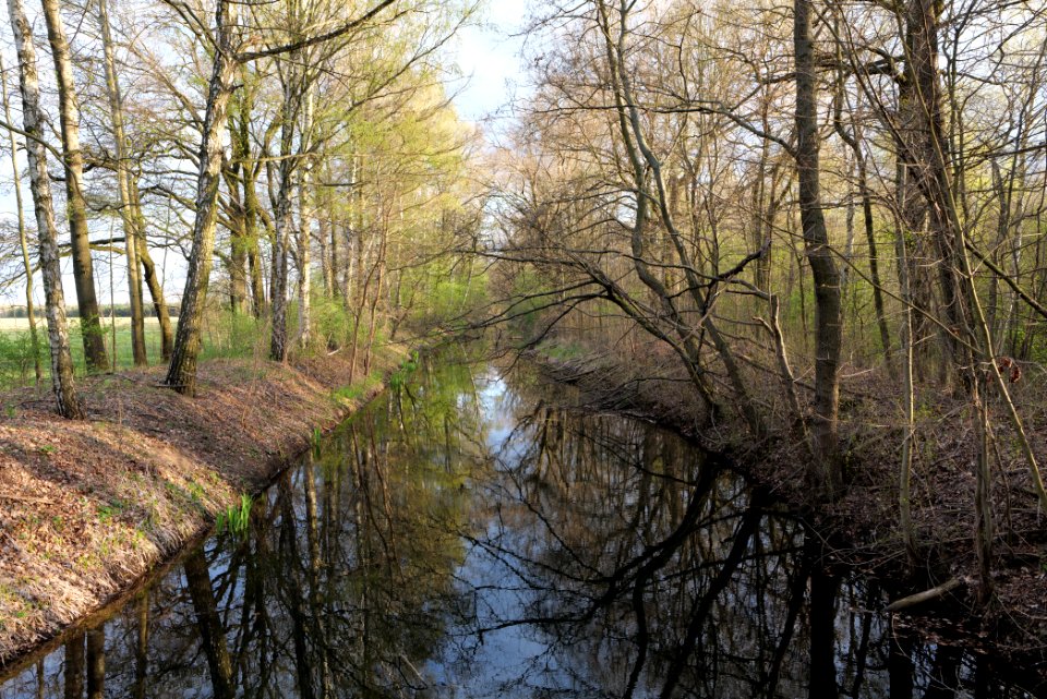 Near Kiessee Maust 2021-04-24 15