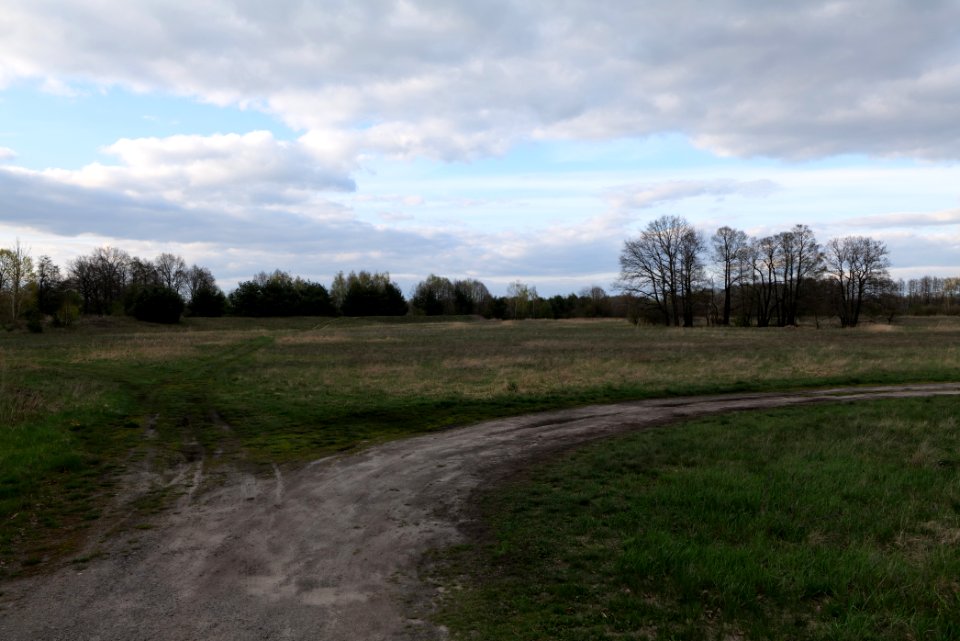 Near Kiessee Maust 2021-04-24 03