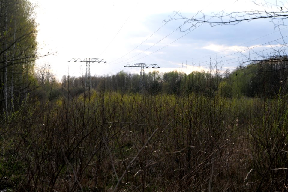 Near Kiessee Maust 2021-04-24 27