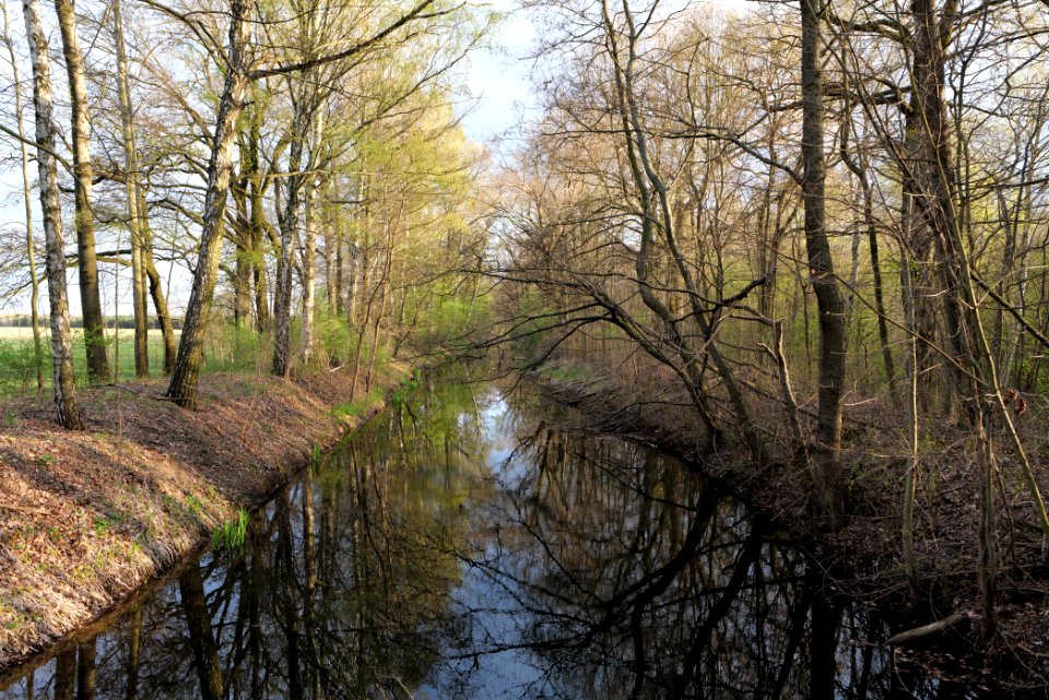 Near Kiessee Maust 2021-04-24 16