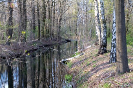 Near Kiessee Maust 2021-04-24 19