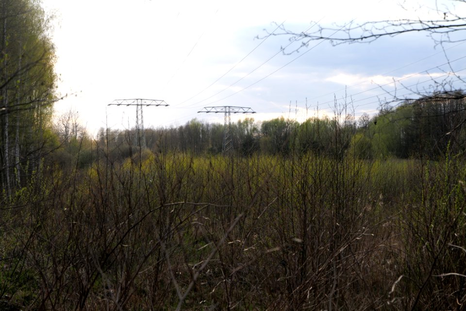 Near Kiessee Maust 2021-04-24 26
