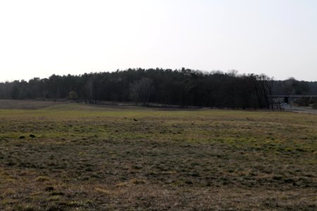 Near Saarmunder Berg 2021-02-24 01