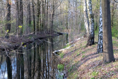 Near Kiessee Maust 2021-04-24 18