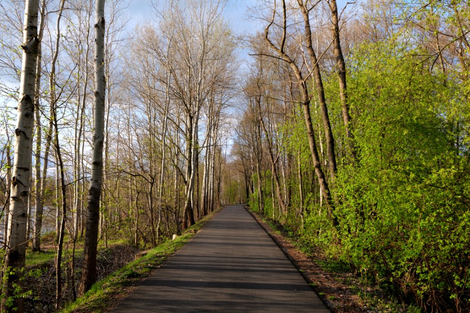 Near Kiessee Maust 2021-04-24 22