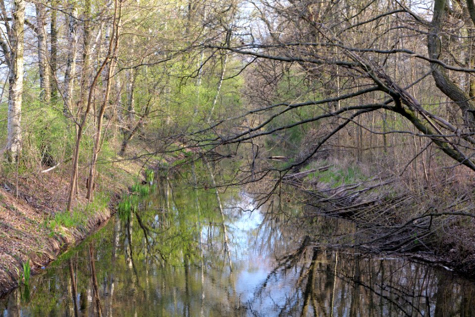 Near Kiessee Maust 2021-04-24 17