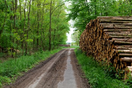 Near Mossberge 2020-05-15 28