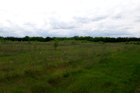 Near Mossberge 2020-05-15 03