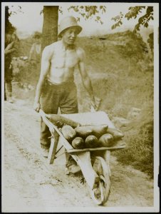 Near Messines. British Tommy bringing up shells to the guns. He is wearing a Boc, Bestanddeelnr 158-0235