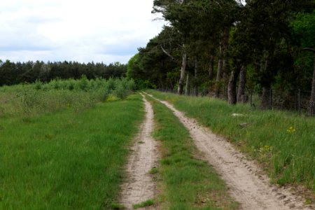 Near Mossberge 2020-05-15 01