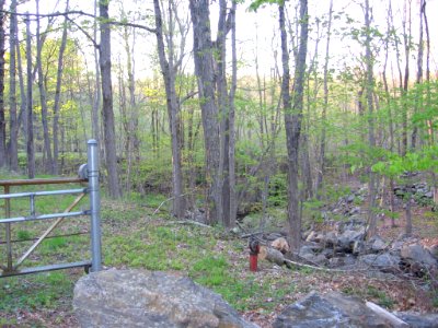 Near Monroe station site 154