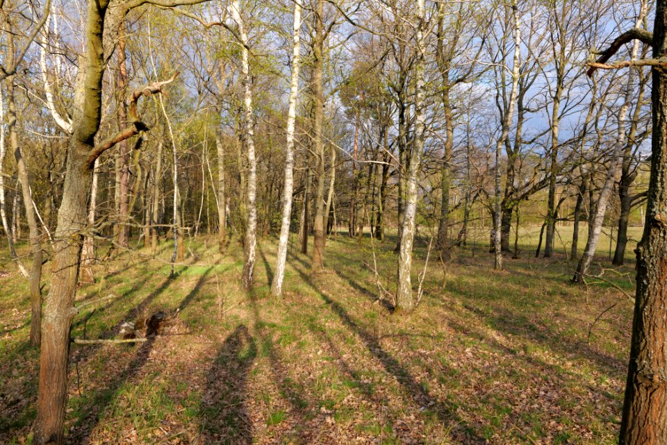Near Kiessee Maust 2021-04-24 11