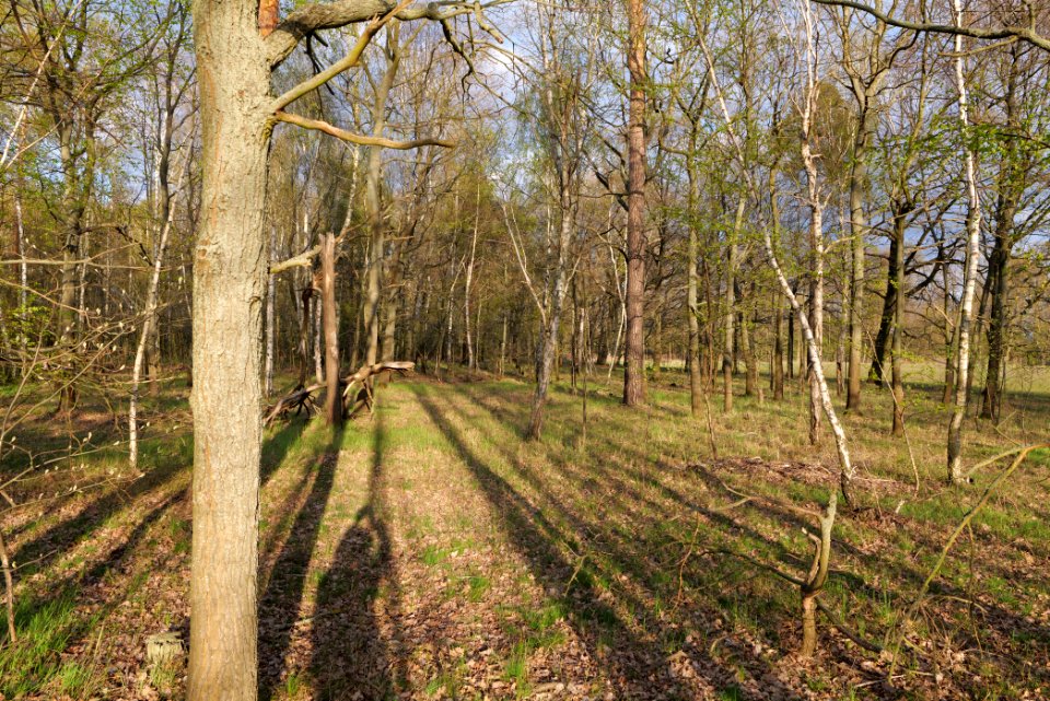Near Kiessee Maust 2021-04-24 13