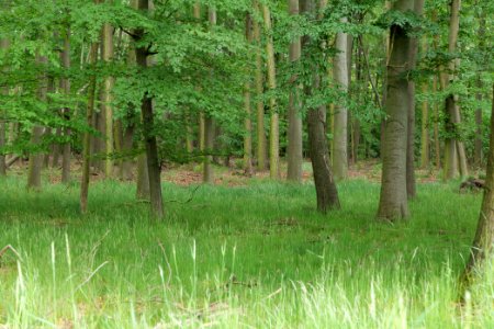 Near Mossberge 2020-05-15 11