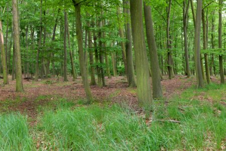 Near Mossberge 2020-05-15 19