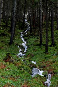 Near Kammerloch 2020-03-11 03