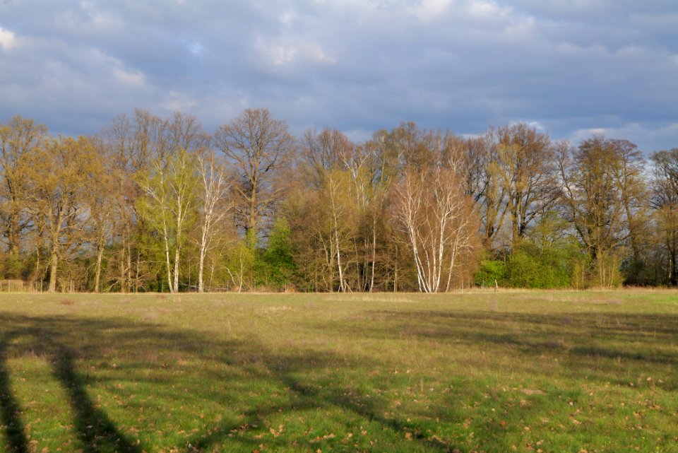 Near Kiessee Maust 2021-04-24 08