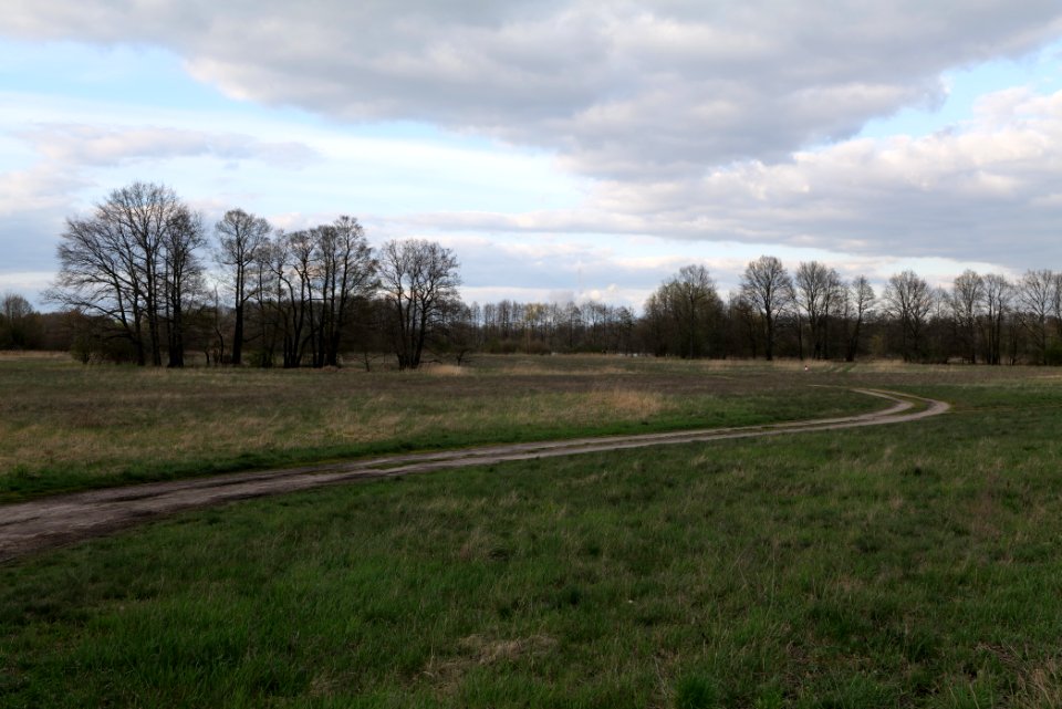 Near Kiessee Maust 2021-04-24 02