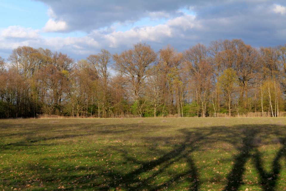 Near Kiessee Maust 2021-04-24 07