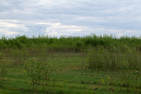 Near Mossberge 2020-05-15 06