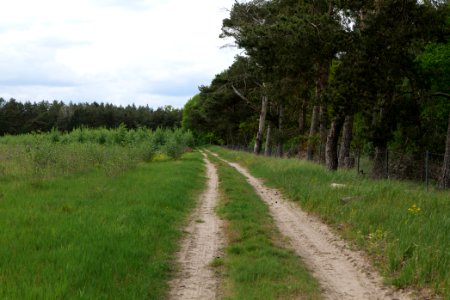 Near Mossberge 2020-05-15 02