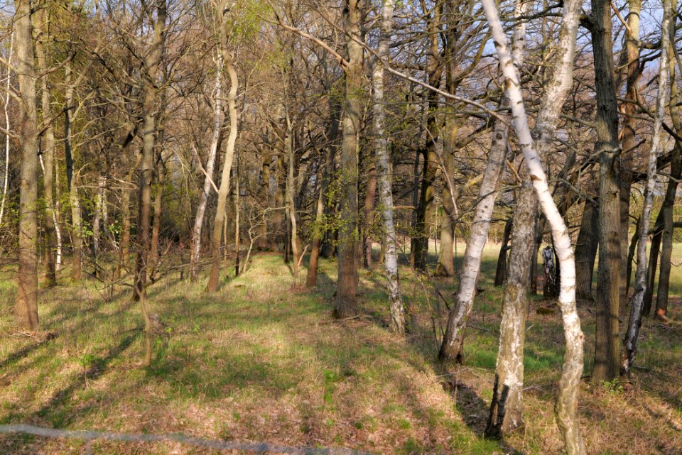 Near Kiessee Maust 2021-04-24 09