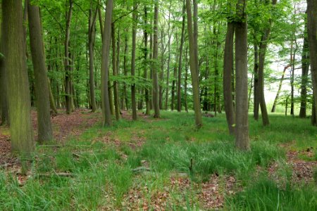 Near Mossberge 2020-05-15 17