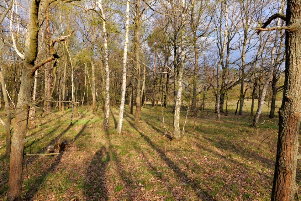 Near Kiessee Maust 2021-04-24 10