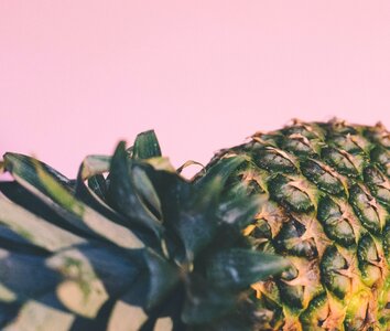 Pineapple pink tropical fruit
