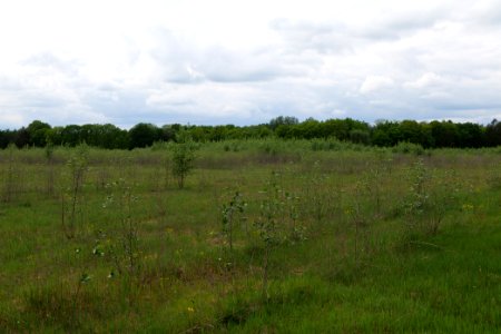 Near Mossberge 2020-05-15 05