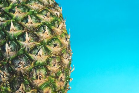 Healthy food pineapple texture