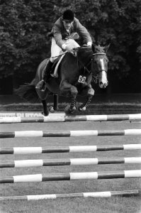Nederlandse kampioenschappen springruiter in Amsterdamse Bos Henk Nooren met U, Bestanddeelnr 929-8922