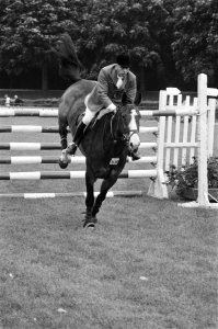 Nederlandse kampioenschappen springruiter in Amsterdamse Bos Anton Ebben met Ju, Bestanddeelnr 929-8921